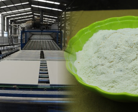 Gypsum Board Starch Powder Manufacturer