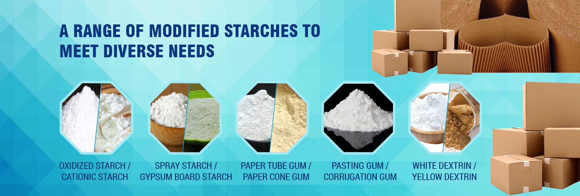 Modified Starch Powder Exporter