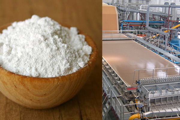 Spray Starch Manufacturer in India