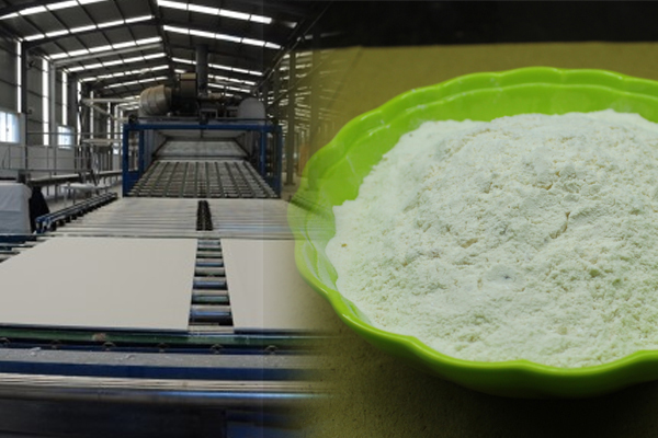 Gypsum board starch powder manufacturer